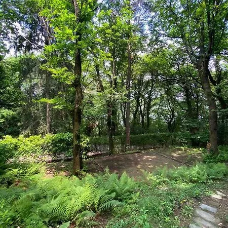 Tatil Evi Il Guscio, Cozy Cabin In Natural Park